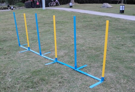 Agility Slalomset Grondstrip (6 Stuks)