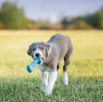 KONG Puppy Goodie Bone - Small