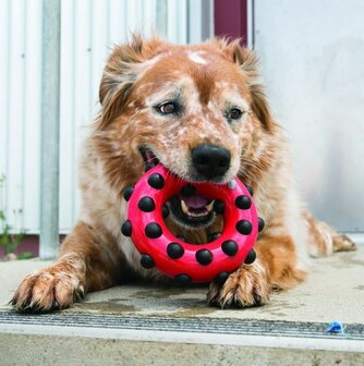 KONG Dotz Circle - Bijtring - Duurzaam Rubber - Diverse maten