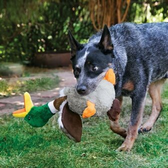 KONG Eend - Shakers Honkers Duck - L