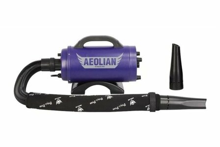 Waterblazer Aeolian Pro (2200 Watt)