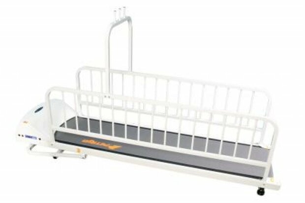 Petrun Loopband XL - Deluxe voor honden - 182,5x41 cm + Extra railing