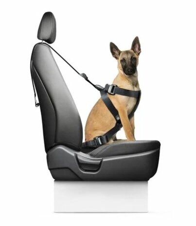 Autogordel Travel Fix Classic - Maat M - Voor Honden van 8-20kg - Zwart